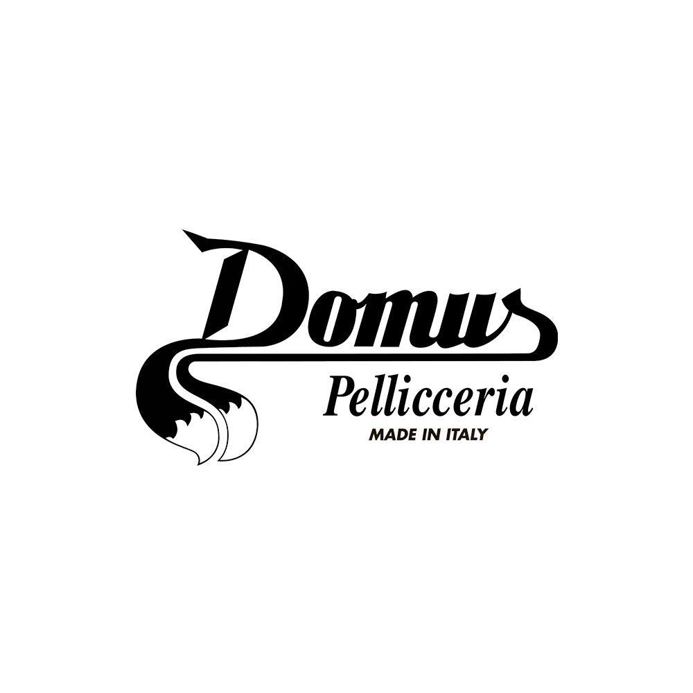 Domus: Family business identity